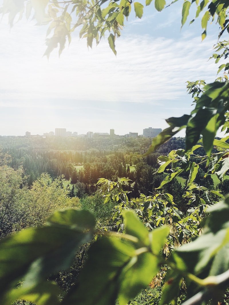 Edmonton River Valley near the University of Alberta